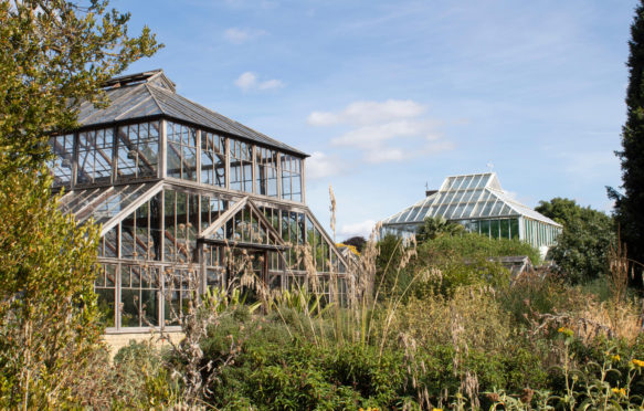 Glasshouse at Cambridge Botanic Gardens where the UK's temperature record was broken in July 2019. Credit: Juliet Ferguson / Alamy Stock Photo