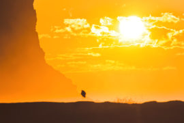 在澳大利亚皇家国家公园的Garie Beach上悬崖上的日出。图片来源：Taras Vyshnya / Alamy Stock Photo。JJBFMF