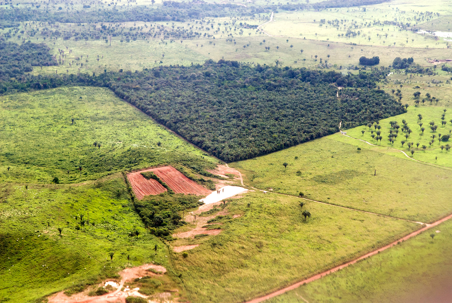 Aerial view of deforestation in the Amazon rainforest, near Belém, Brazil. Credit: Sue Cunningham Photographic / Alamy Stock Photo. E01WJH