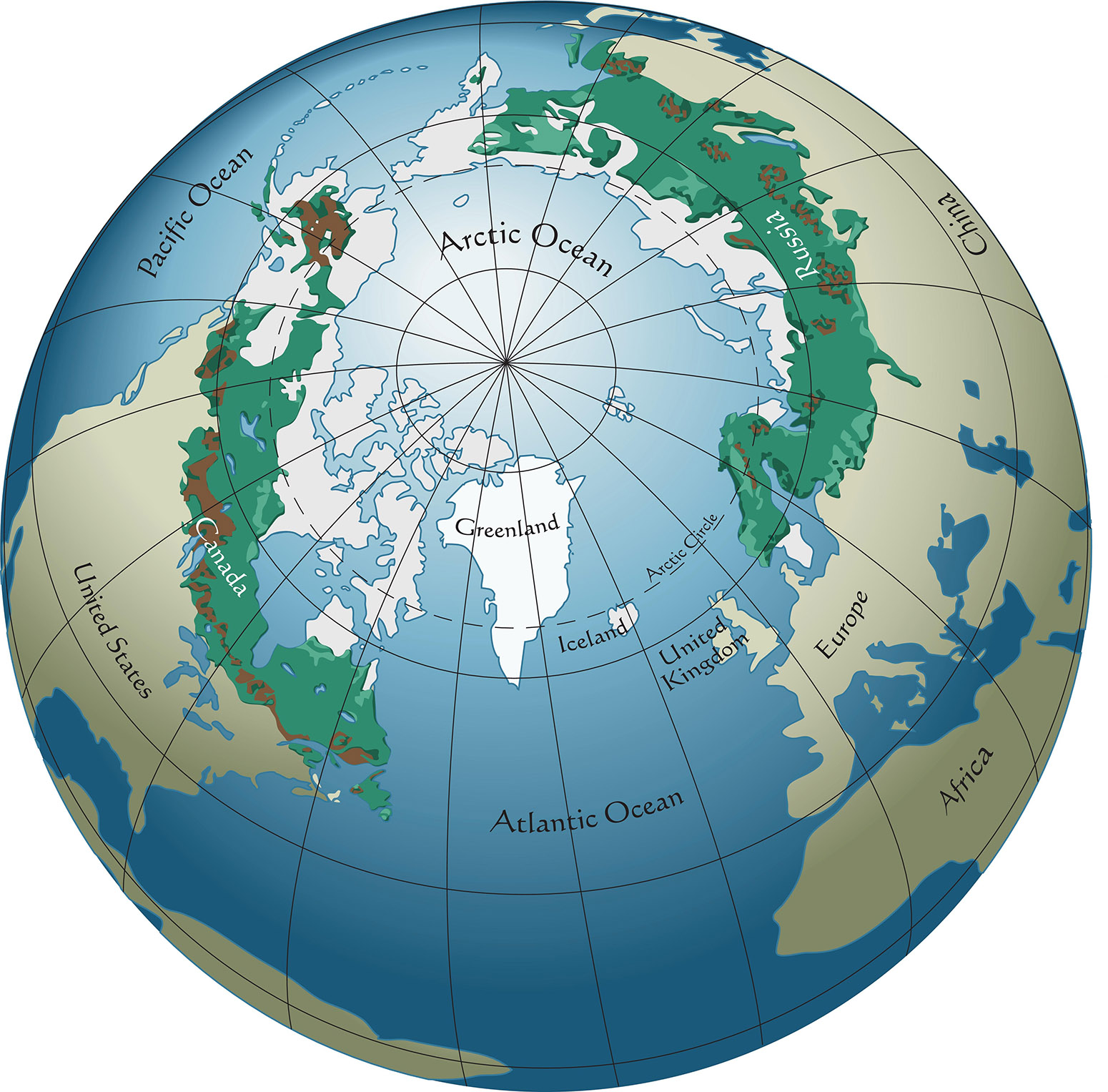 A world map showing the locations of boreal forests. Credit: aroderick / Alamy Stock Vector. W80GDJ
