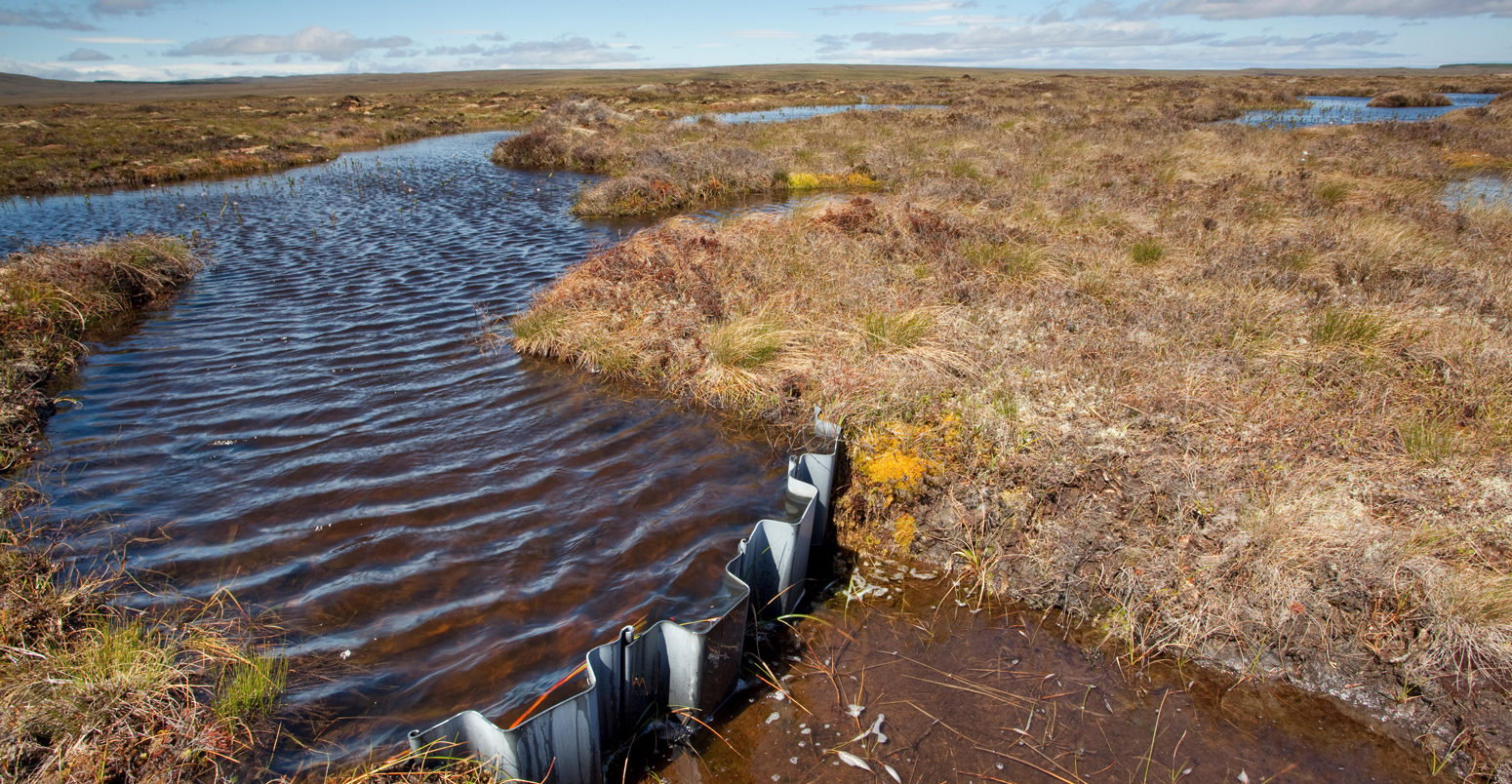 Dam in place to re-wet blanket bog at RSPB Forsinard Flows, Flow country, Caithness, Highland, Scotland. Credit: Nature Picture Library / Alamy Stock Photo