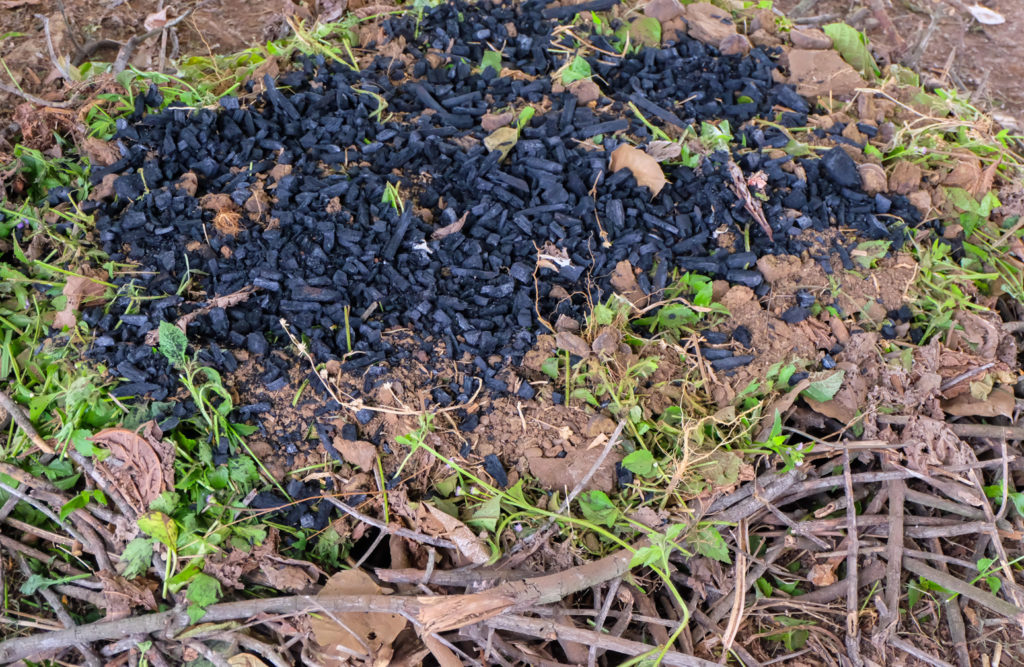 A mound of biochar, including charred wood, soil, wet weeds, dead leaves and dry sticks. Credit: Ron Emmons / Alamy Stock Photo