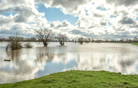 被淹没的领域在伍斯特郡，英国，2月27日2020年。信用：shaun Davey / Alamy股票照片。2b1y2hb.