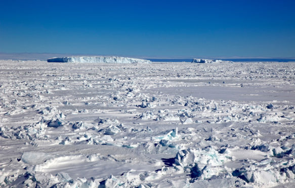 冰冷的景观，包装冰，韦德尔海，南极洲。