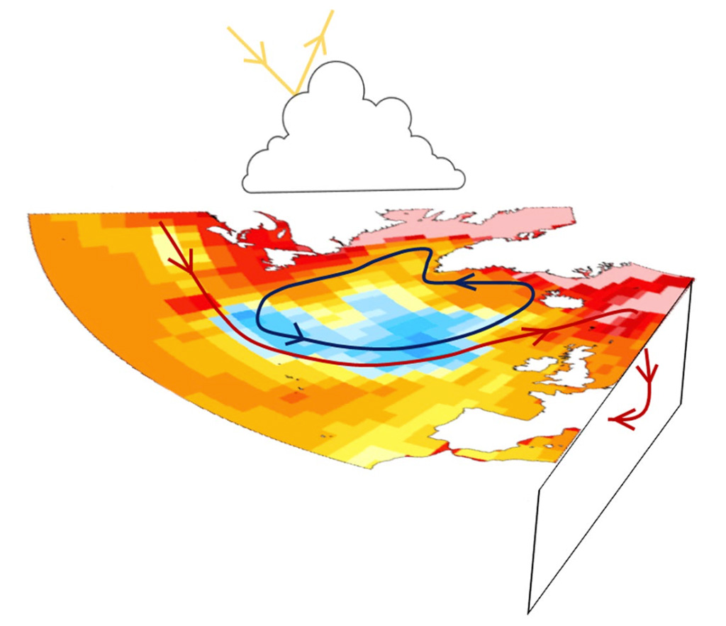 Illustration of the drivers of the warming hole. The AMOC is indicated by red arrows, the gyre circulation by blue arrows and cloud feedback in the form of reflected shortwave radiation by yellow arrows. Shading represents the surface temperature trend of the 1% CO2 increase per year ensemble. Source: Keil et al. (2020)