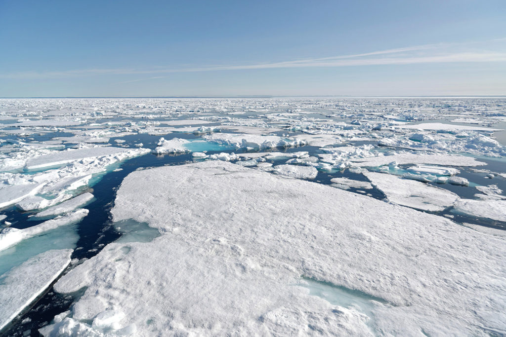 Arctic sea ice melt, north of Svalbard, Norway, July 2019. Credit: aldiami/Andreas Alexander / Alamy Stock Photo.