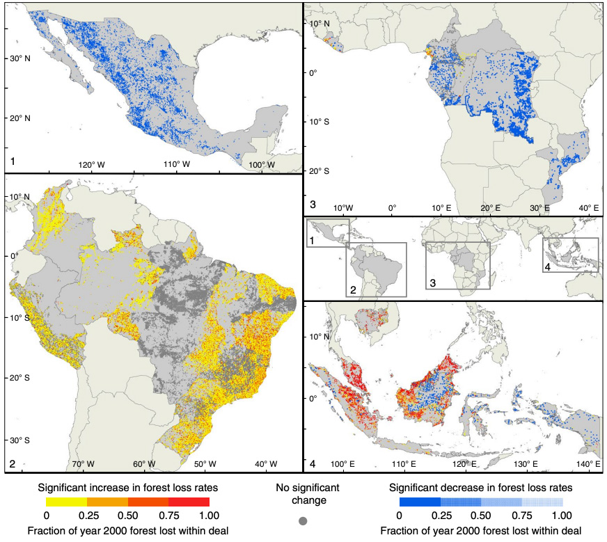 The distribution of land acquisitions seeing significant increases in forest loss rates when compared to non-investment areas (yellow to red) and significant decreases in loss rates, when compared to non-investment areas (blue). Credit: Davis et al. (2020)