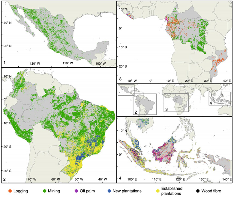 The distribution of public large-scale land acquisitions in Mexico (top left), South America (bottom left), sub-Saharan Africa (top right) and southeast Asia (bottom right). Acquisition activities include logging (orange), mining (green), palm oil (purple), new plantations (blue), established plantations (yellow) and wood fibre (black). Credit: Davis et al. (2020)