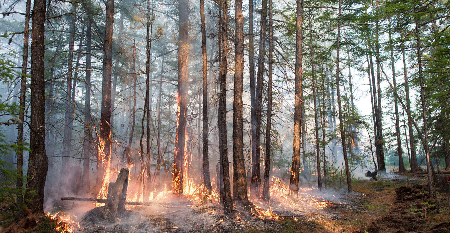 A forest fire in central Sakha Republic, Russia.