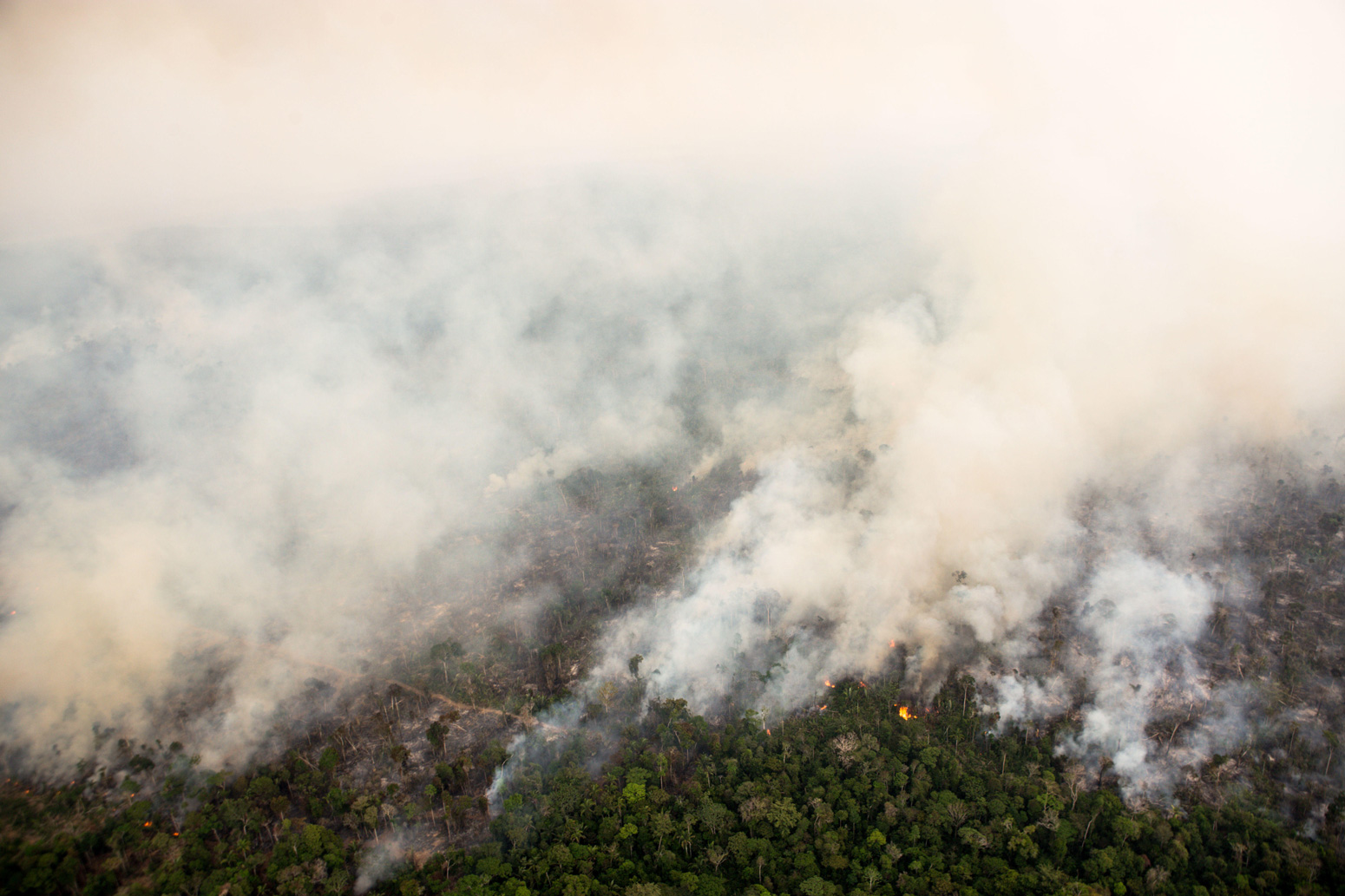 Aerial scenes show fires in various regions of the Jamari Forest Reserve, near Porto Velho, Rondonia (Aug. 24, 2019).
