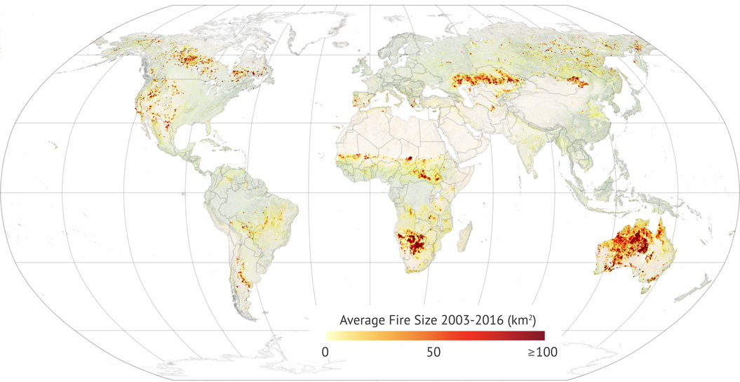 The average fire size across the world from 2003-16, ranging from zero (white) to 100sq km (dark red).