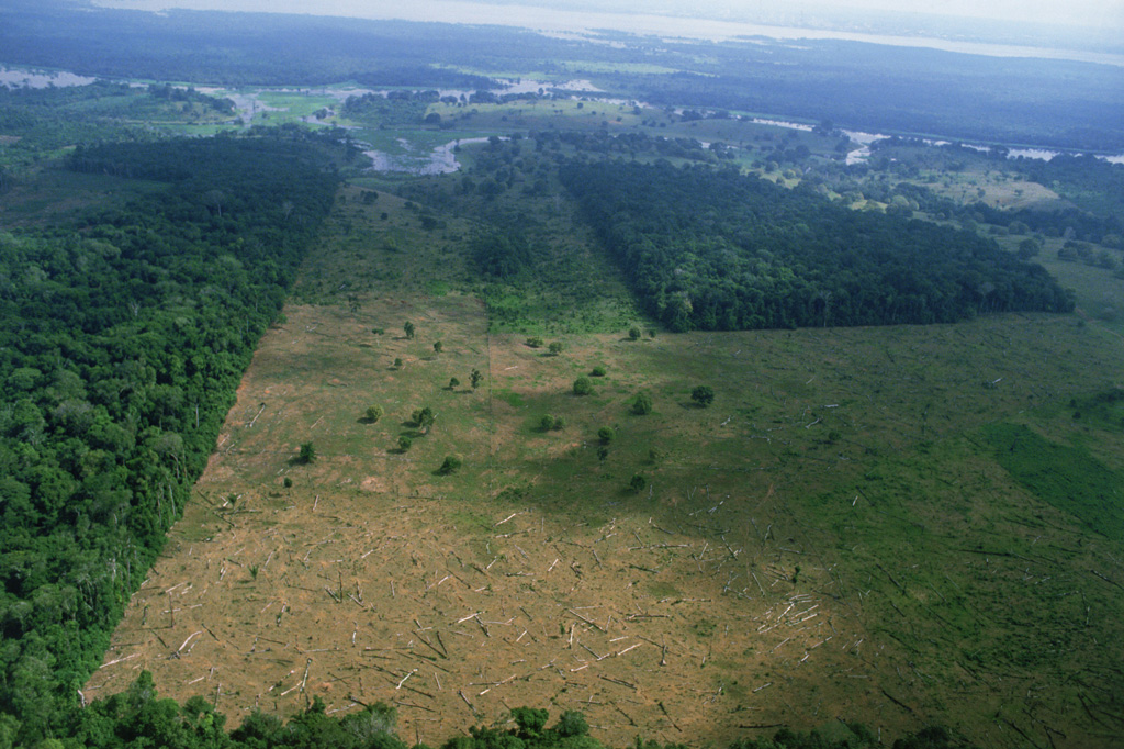 森林砍伐雨林的鸟瞰图Brazil near Amazon River. Credit: Chad Ehlers / Alamy Stock Photo.