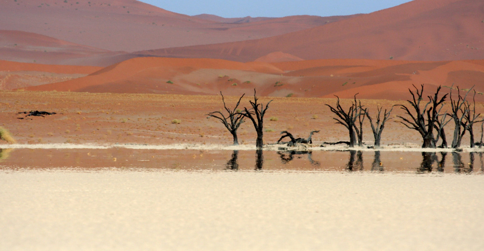 Dead Vlei tree with mirage, Nambia.