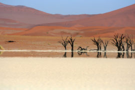 Dead Vlei tree with mirage, Nambia.