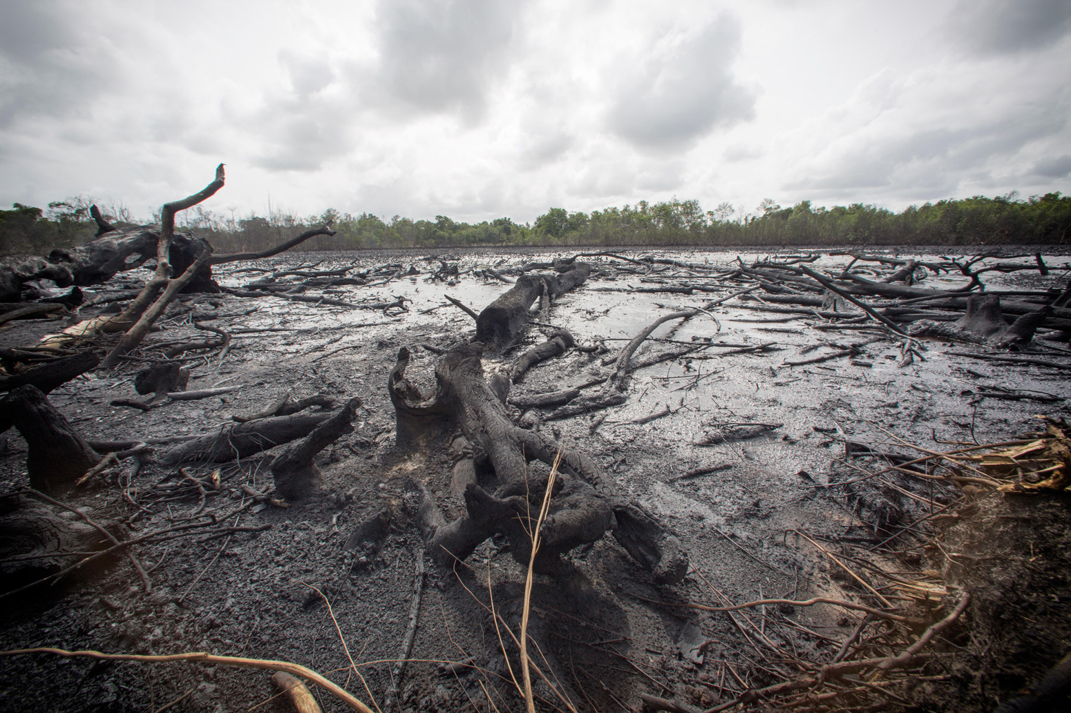 Large swathes of land lay barren as a result of oil leakage from illegal refineries in Delta State, Nigeria.