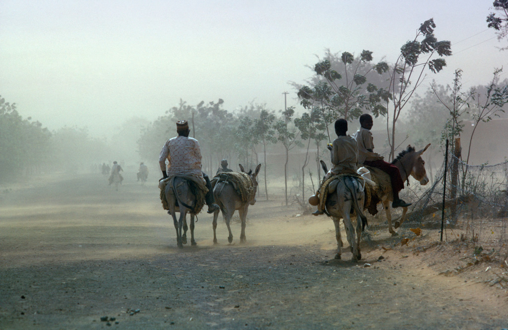 People riding donkeys on road in dust sandstorm, Nigeria. Credit: Eye Ubiquitous / Alamy Stock Photo.