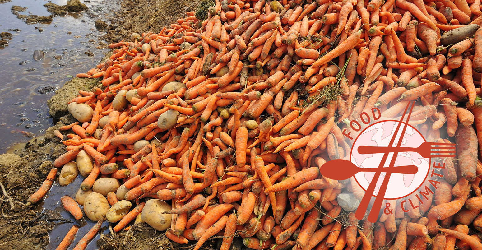A pile of waste carrots with a few potatoes spilling out. Credit: Alistair Scott / Alamy Stock Photo.. B1YNT9