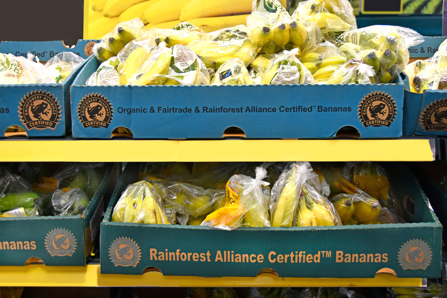Organic Fairtrade and Rainforest Alliance certified bananas.