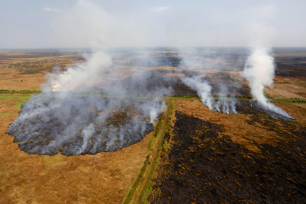 Smoke rises from a peatland during fires near Banjarmasin, Indonesia