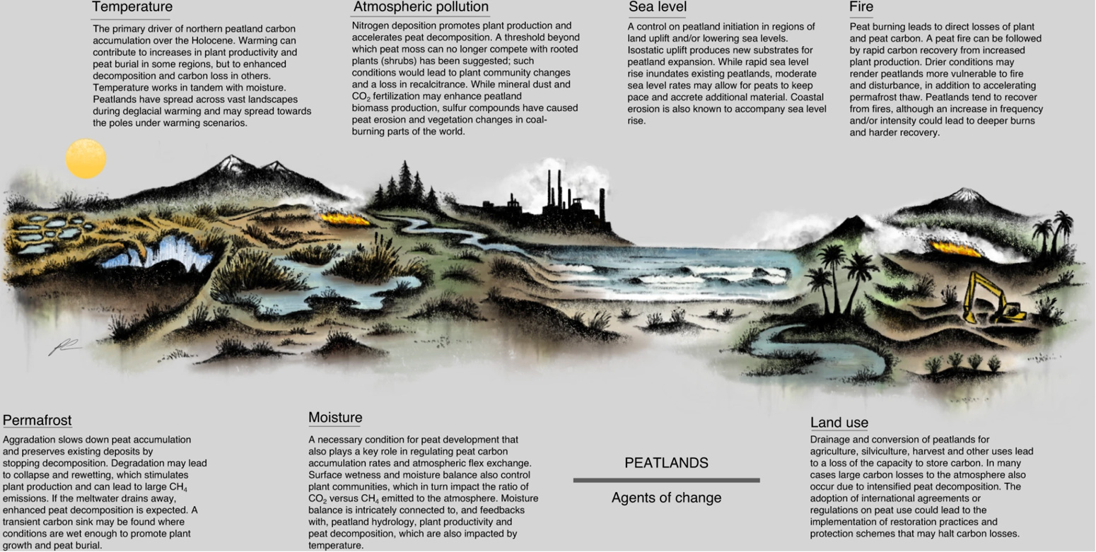 The-main-agents-of-change-impacting-the-global-peatland-carbon-balance-globally