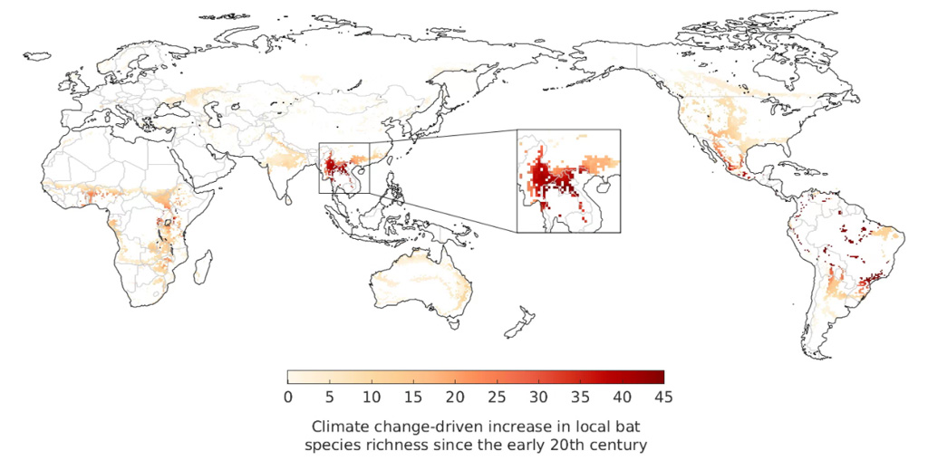 Estimated increase in the local number of bat species due to shifts in their geographical ranges driven by climate change between the 1901-1930 and 1990-2019 periods