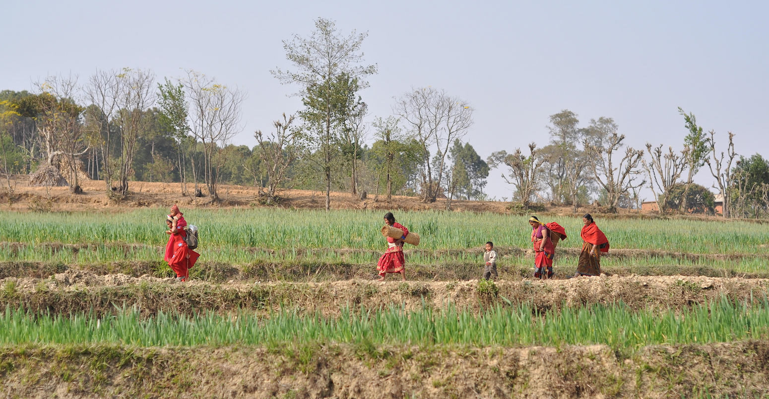 Women and children walking in the fields