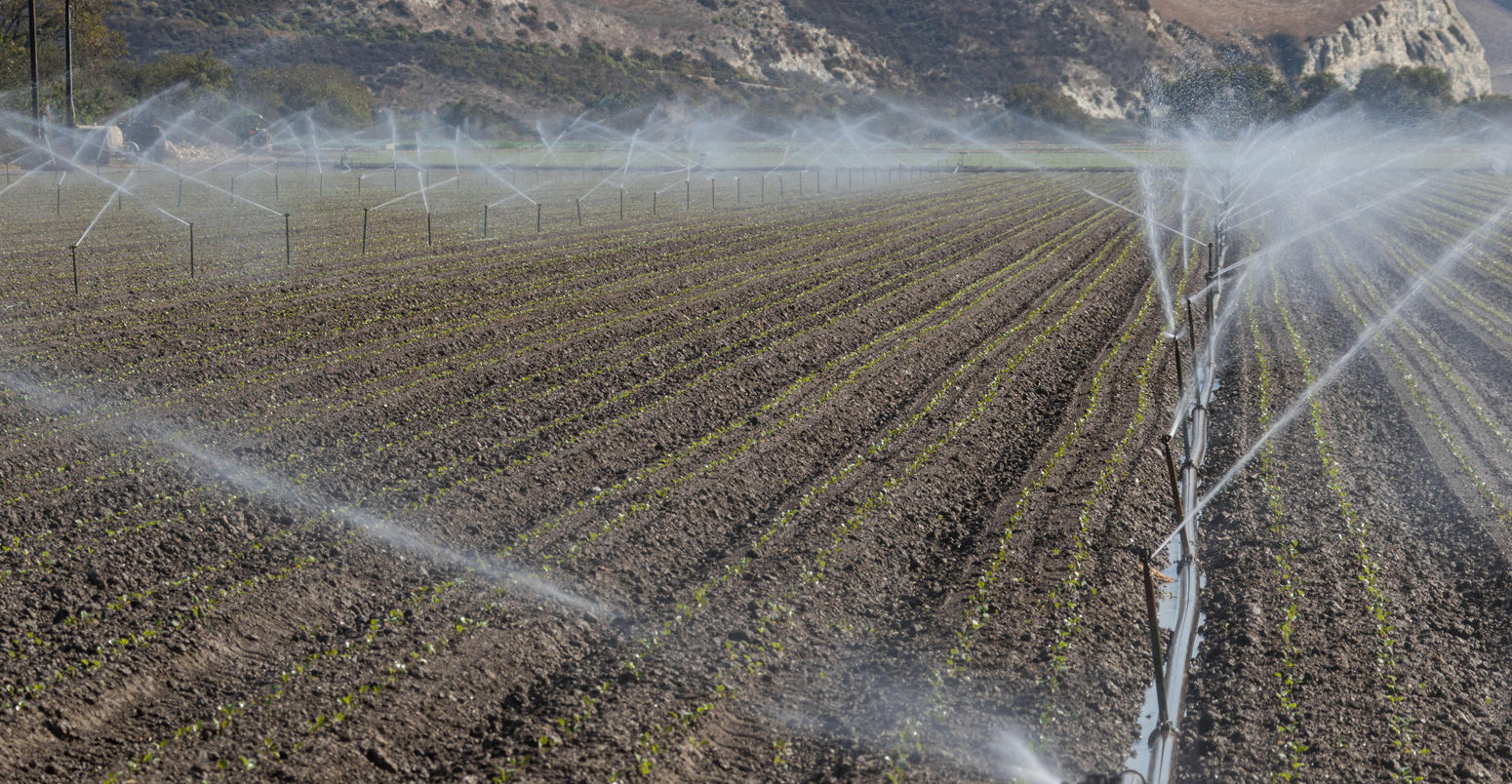 Rows-of-sprinklers-irrigate-newly-sown-and-planted-soybeans-in-a-field-in-California