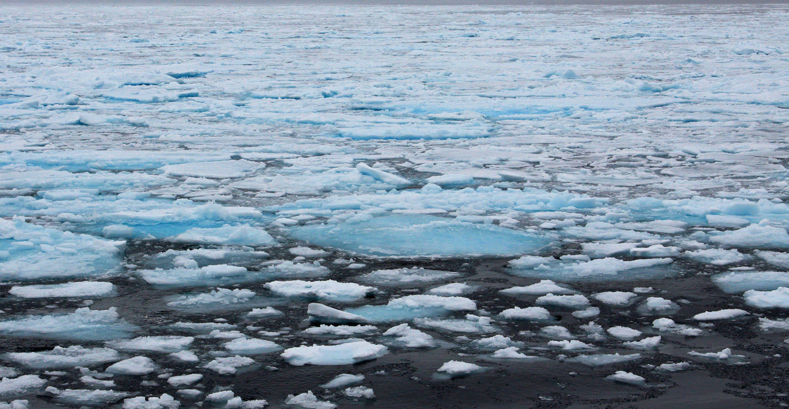 Sea ice in Svalbard