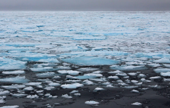 海冰in Svalbard