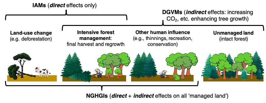 Illustration of the different approaches by IAMs and NGHGIs in estimating the anthropogenic land CO2 flux