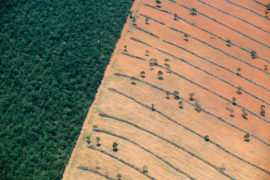 Aerial-view-of-tropical-deforestation-Mato-Grosso-do-Sul-Pantanal,-Brazi
