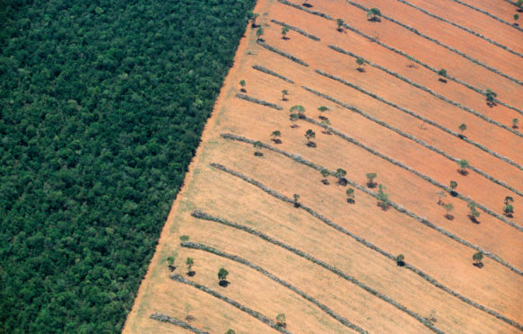 Aerial-view-of-tropical-deforestation-Mato-Grosso-do-Sul-Pantanal,胡核
