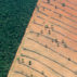 巴西南马托格罗索州热带森林砍伐鸟瞰图