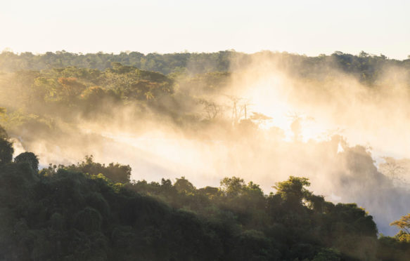 巴西伊瓜苏国家公园的森林和水蒸气