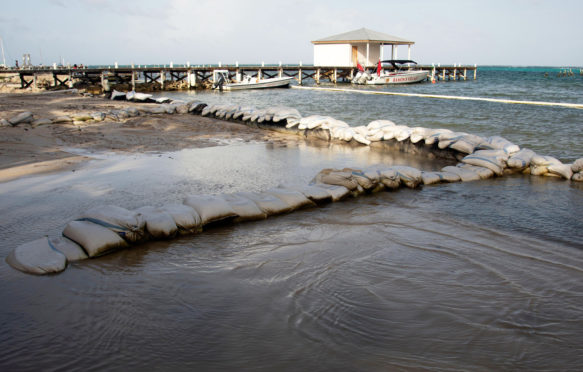 沙袋保护海滩从海平面上升，伯利兹