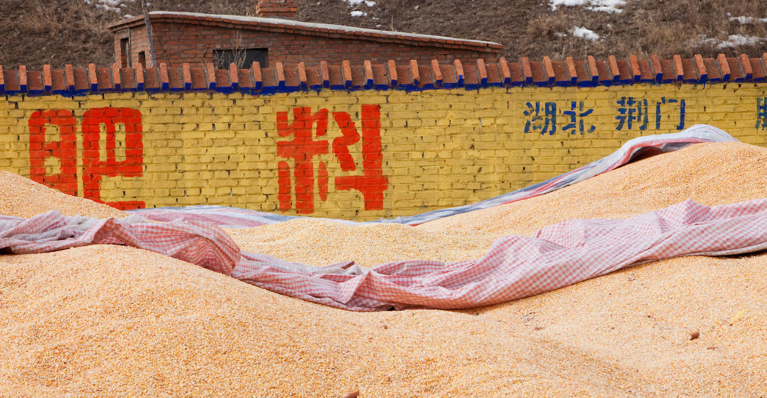Maize store in Heilongjiang Province Northern China