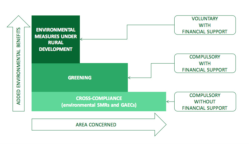 Structure of CAP investment instruments.