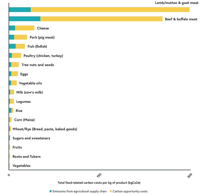 Total carbon costs (kgCO2e) per kilogram of various food products. The teal bars indicate the direct emissions associated with the supply chain of each product, while the yellow bars show the carbon “opportunity cost”, meaning the amount of CO2 that could be sequestered in the land used to produce that food. Source: The National Food Strategy, Part II.