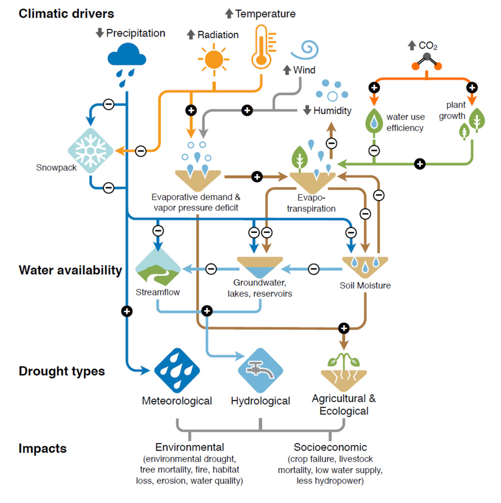 干旱的气候驱动因素、对水资源可用性的影响以及对IPCC的影响
