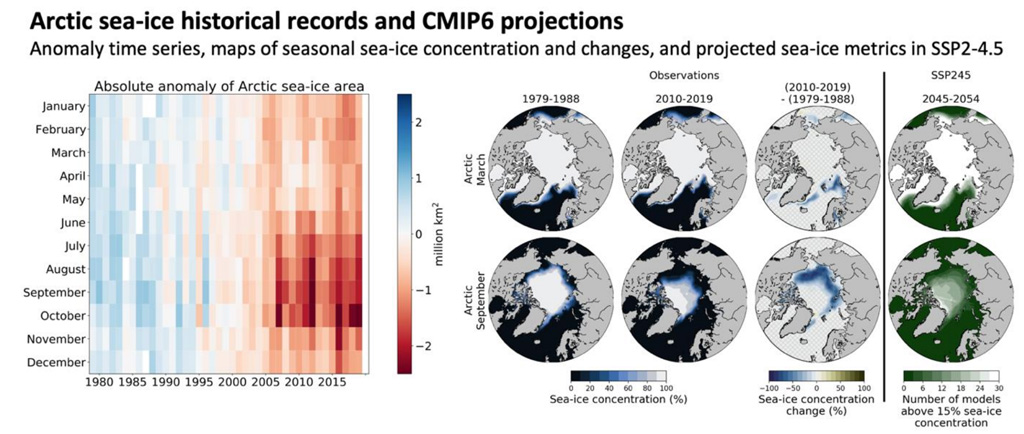 Observations of Arctic sea ice concentration and projected changes under SSP2-4.5 IPCC