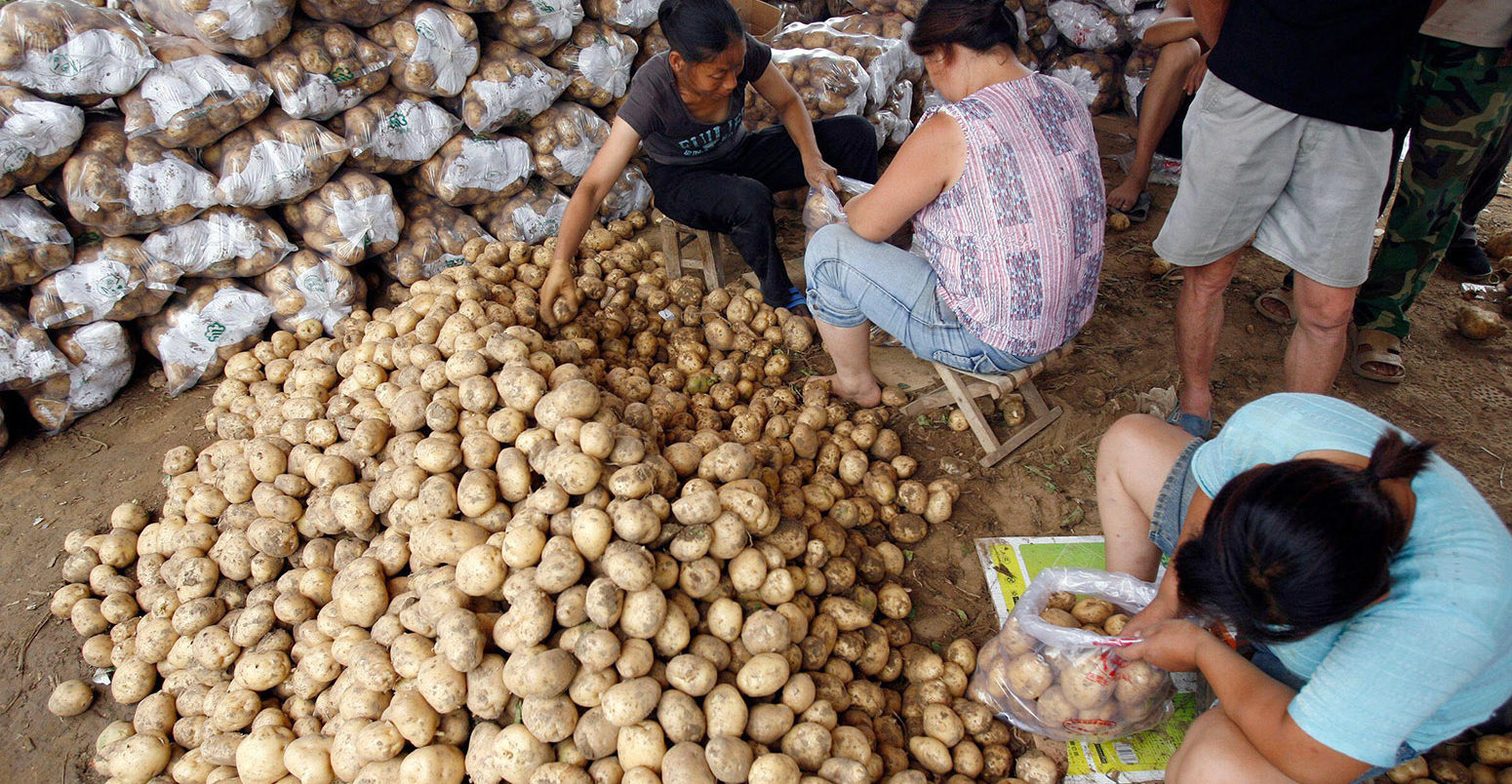 Women sort potatoes for packing at a market near Baoding, Hebei province, China. Credit: Reuters / Alamy Stock Photo.