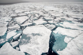 Arctic sea ice floe in Svalbard