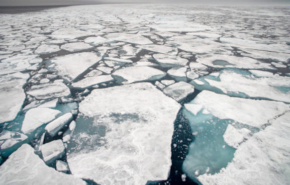 斯瓦尔巴特群岛的北冰洋浮冰