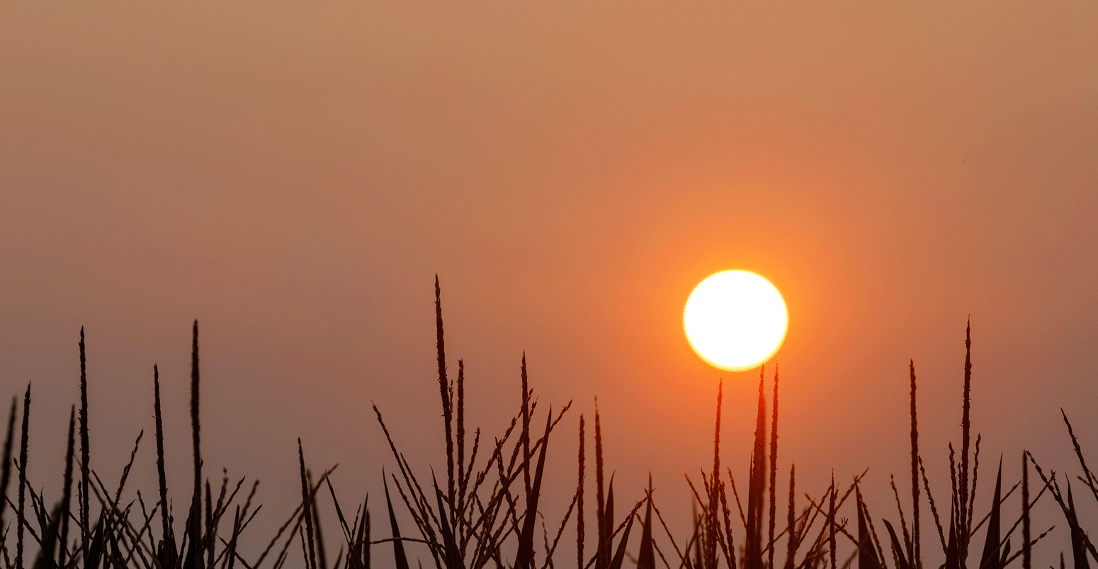 Sunset in Henry County, Iowa, with haze and smoke from forest fires