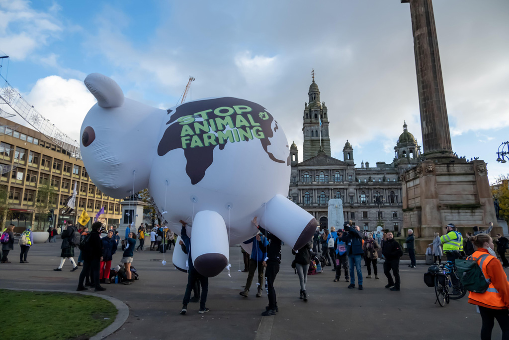 气候变化活动家holdin乔治广场g an inflatable animal saying Stop Animal Farming on day ten of COP26