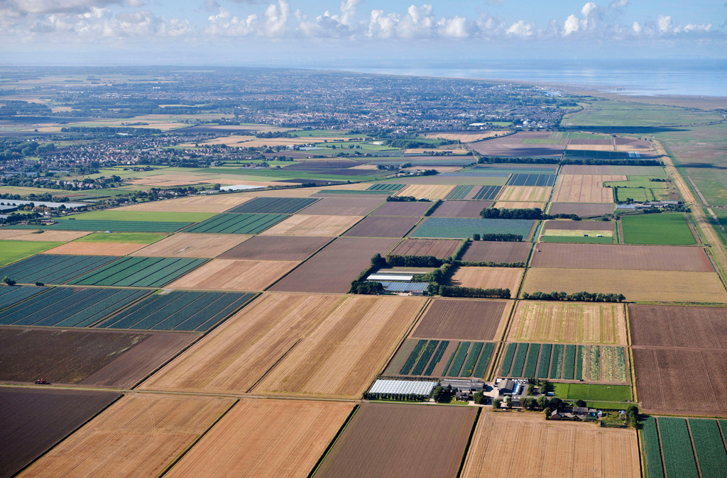 Field patterns in High yield market gardening agricultural land, UK