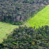 巴西亚马逊雨林的大豆种植园