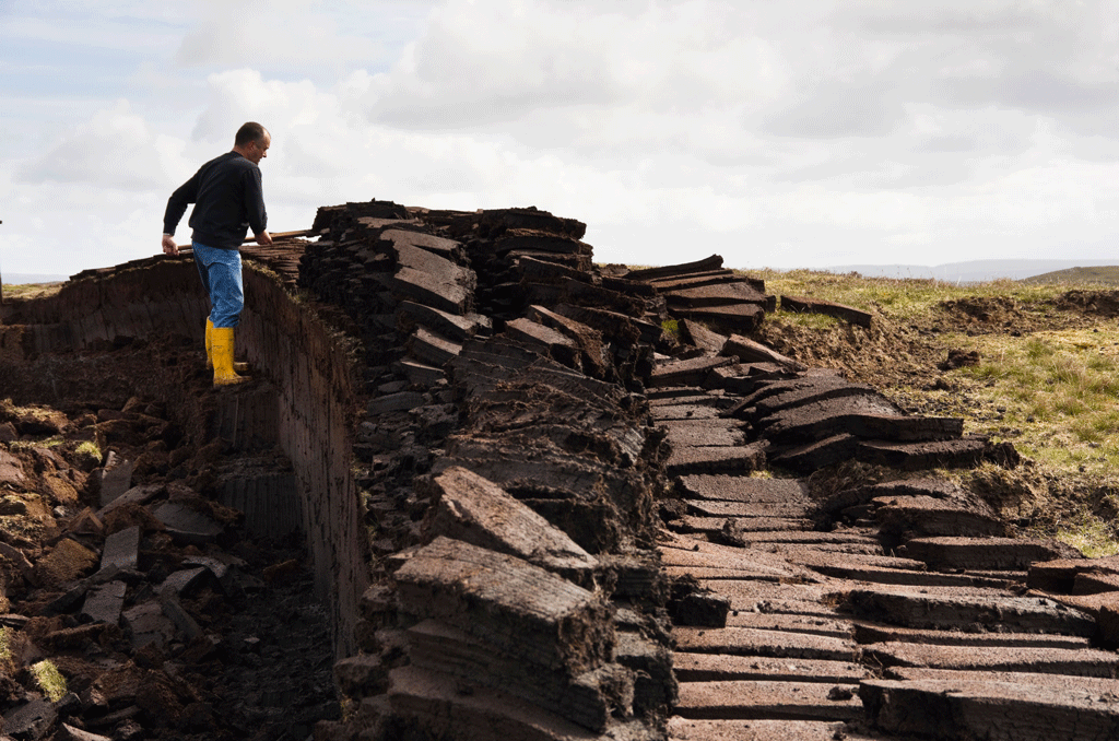 Man cutting peat blocks for traditional fuel in Shetland Islands, UK