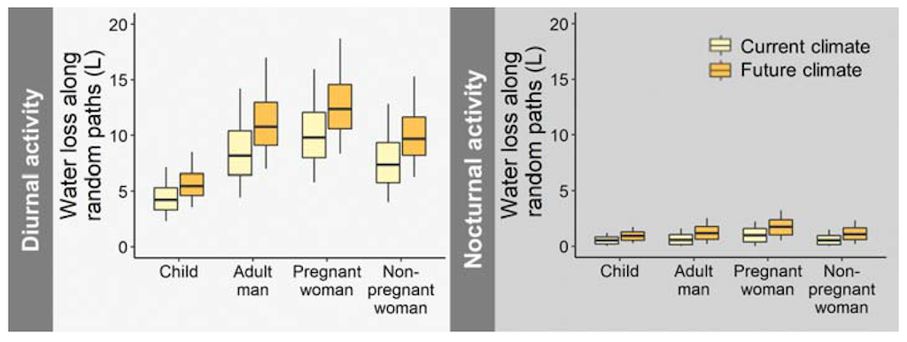 Modelled water loss for a child, man, pregnant women and non-pregnant women during the day and night  during an average crossing