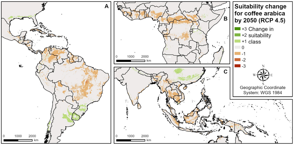 Maps of (a) central and South America, (b) west and central Africa and (c) south and southeast Asia representing the change in suitability for growing coffee arabica by the year 2050